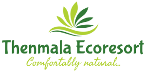 Thenmala Ecoresort